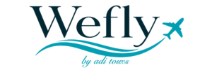 Wefly