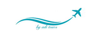 Wefly